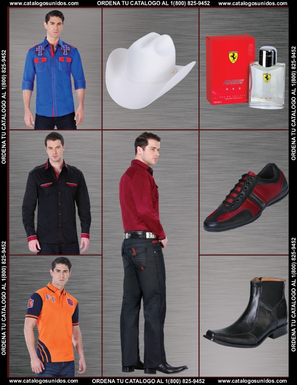 Ferreti2014 (Page 92)